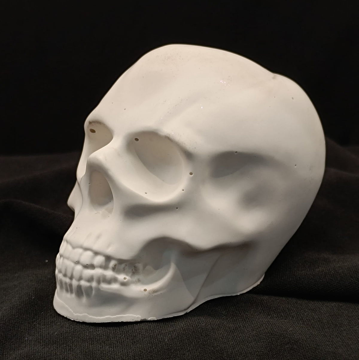 Product view 6 of Handcrafted Jesmonite Skulls - Decorative & Functional Art Paperweight