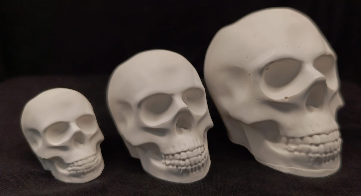 Product view 3 of Handcrafted Jesmonite Skulls - Decorative & Functional Art Paperweight