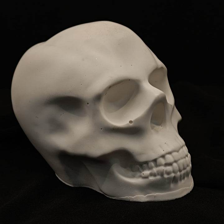 Product view 1 of Handcrafted Jesmonite Skulls - Decorative & Functional Art Paperweight