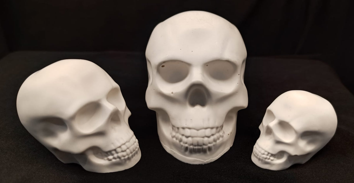 Product view 2 of Handcrafted Jesmonite Skulls - Decorative & Functional Art Paperweight