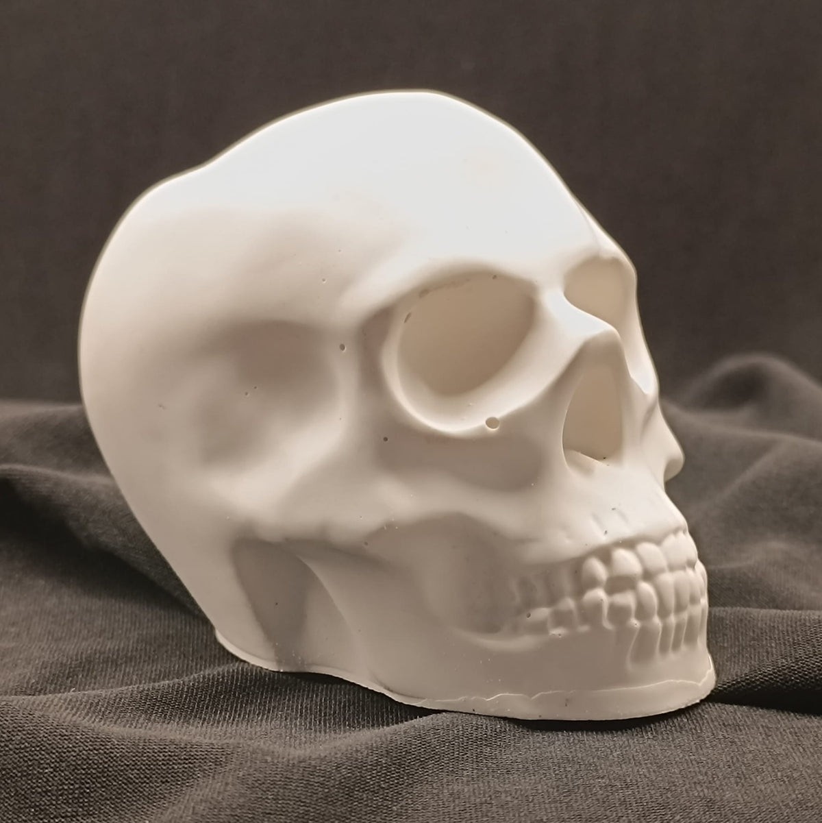 Product view 4 of Handcrafted Jesmonite Skulls - Decorative & Functional Art Paperweight
