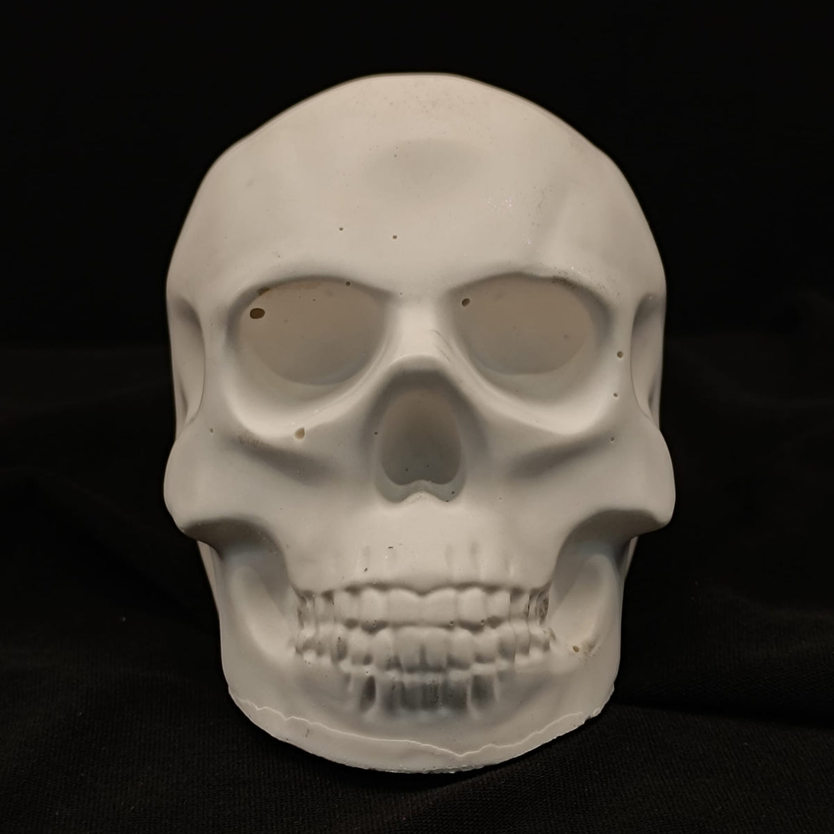 Product view 7 of Handcrafted Jesmonite Skulls - Decorative & Functional Art Paperweight