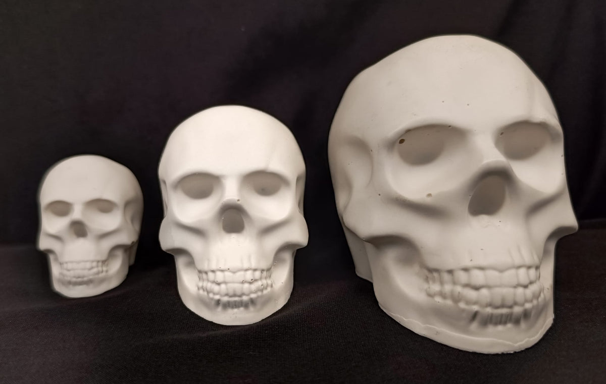 Product view 8 of Handcrafted Jesmonite Skulls - Decorative & Functional Art Paperweight