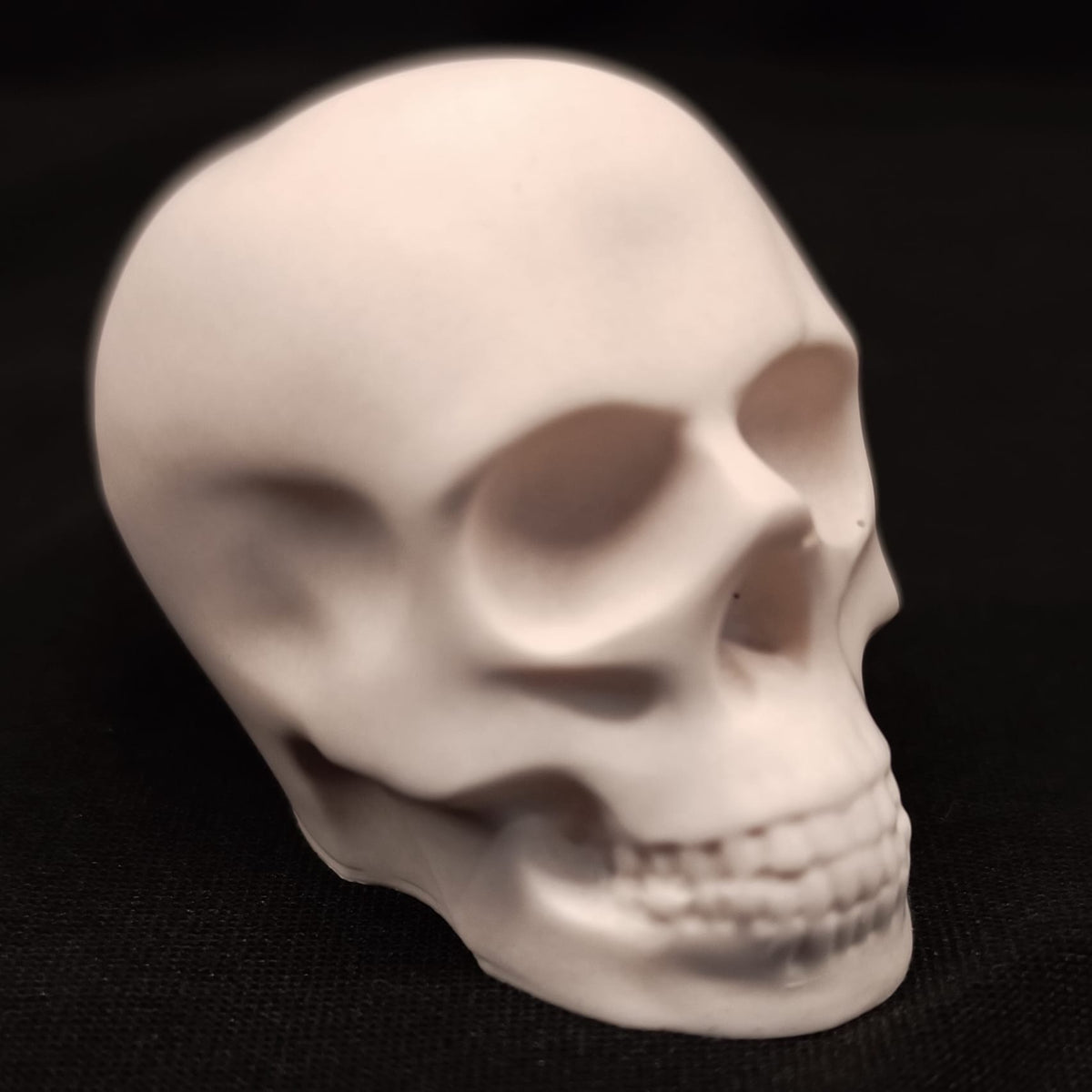 Product view 9 of Handcrafted Jesmonite Skulls - Decorative & Functional Art Paperweight