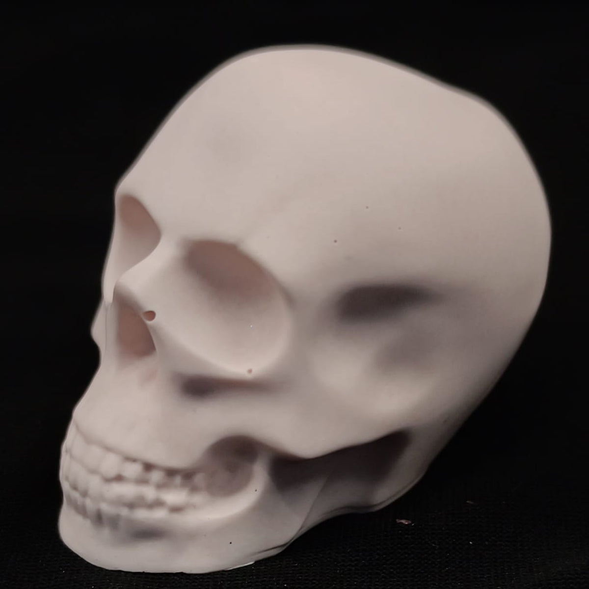 Product view 10 of Handcrafted Jesmonite Skulls - Decorative & Functional Art Paperweight