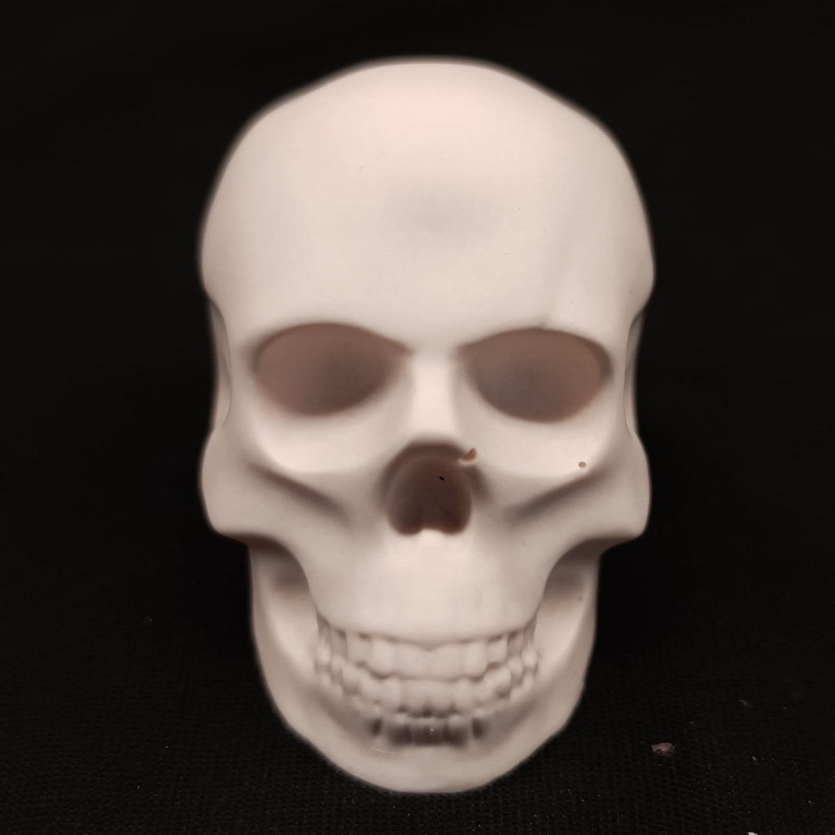 Product view 5 of Handcrafted Jesmonite Skulls - Decorative & Functional Art Paperweight