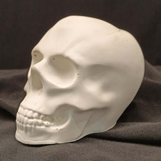 White skull model on a dark fabric background